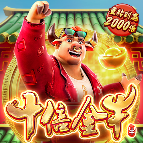 6t体育网页登录