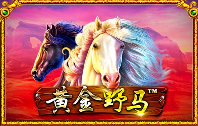 豪赢体育官网登录平台