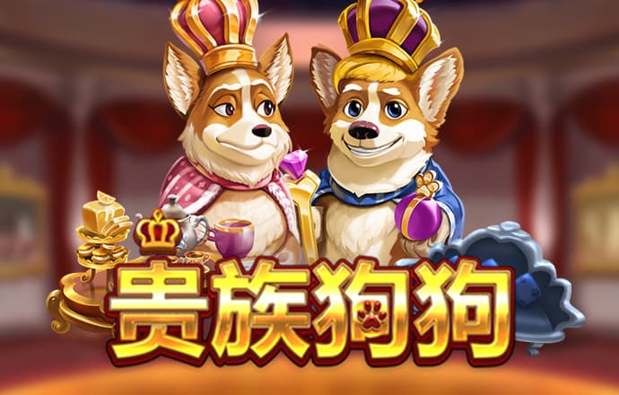 bti体育网站入口